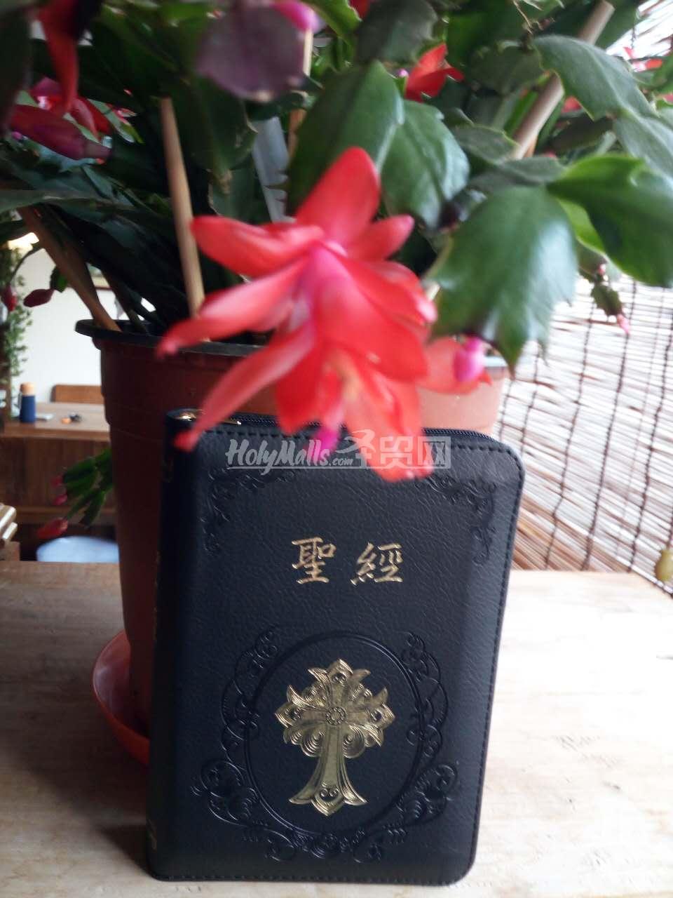 天主教思高版袖珍拇指索引拉链圣经64k黑色